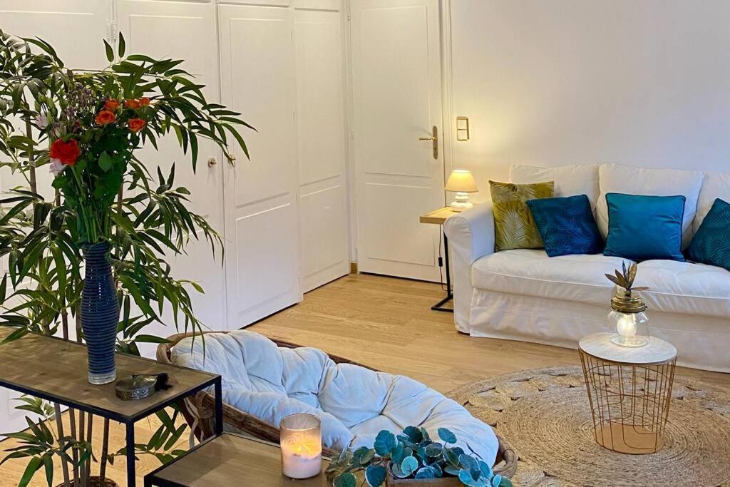 Apartamento Le Roseau - En Plein Coeur Historique Annecy Exterior foto