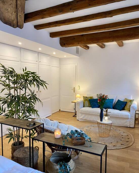 Apartamento Le Roseau - En Plein Coeur Historique Annecy Exterior foto