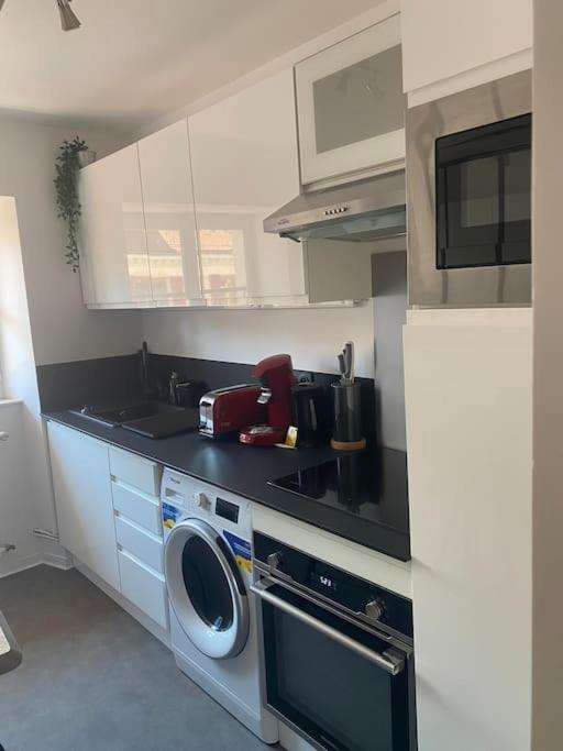 Apartamento Le Roseau - En Plein Coeur Historique Annecy Exterior foto