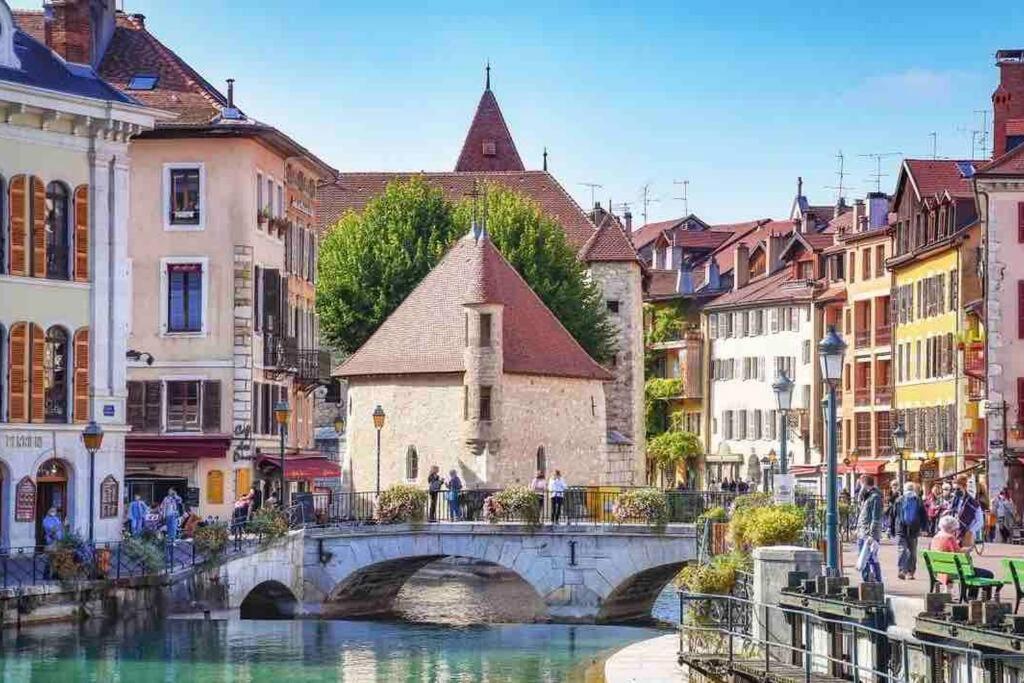 Apartamento Le Roseau - En Plein Coeur Historique Annecy Exterior foto