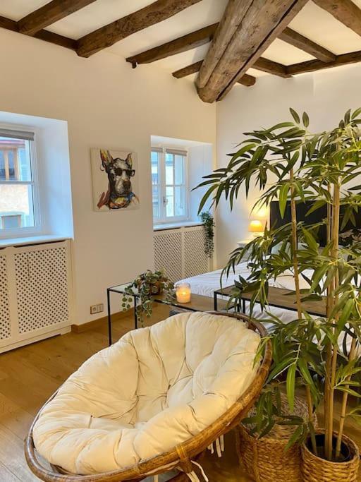 Apartamento Le Roseau - En Plein Coeur Historique Annecy Exterior foto